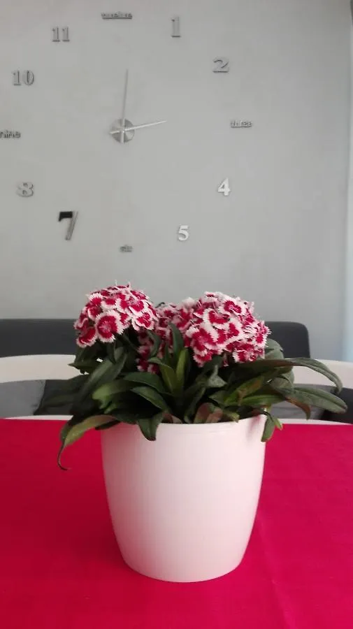 Bed and Breakfast Sweety House San Giovanni Gemini Italien